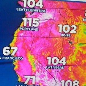 Meet your Posher, Bill